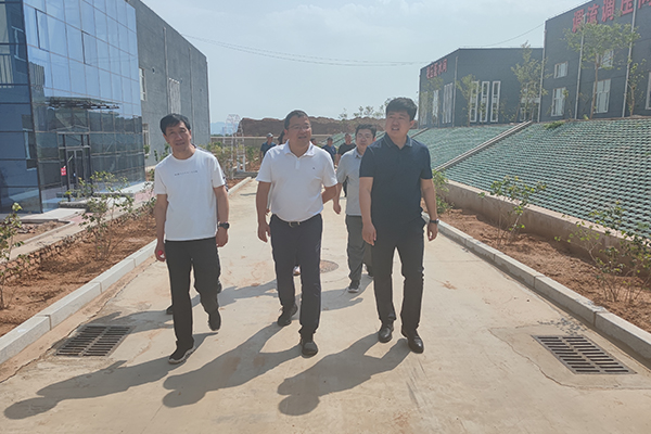 1623216146579901.jpg 6.jpg